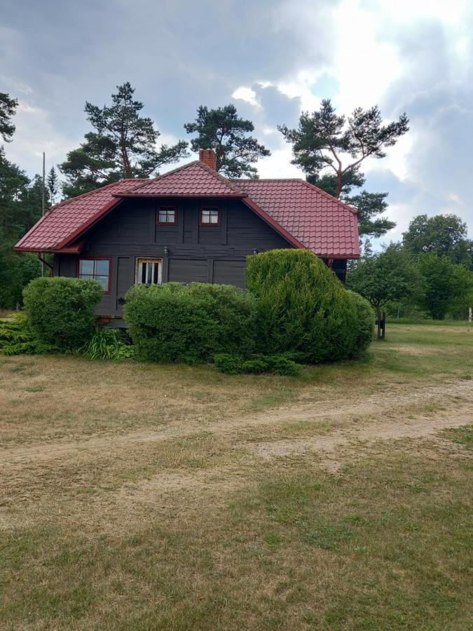 Brivdienu Maja Greizi Myza Dzirtsiyems Exterior foto